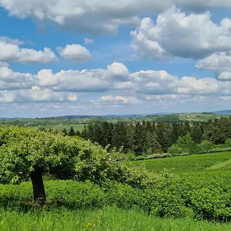 Dom Letniskowy Sadecczyzna Holiday home Olszanka