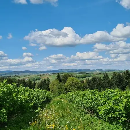 Dom Letniskowy Sadecczyzna Holiday home *